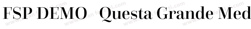 FSP DEMO   Questa Grande Medium Reg字体转换